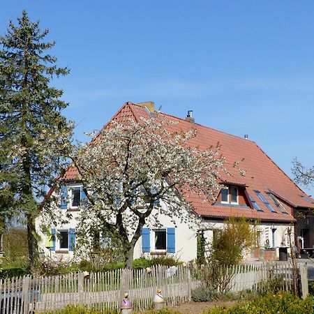 Hof Sorgenlos Gross Gievitz Exteriör bild
