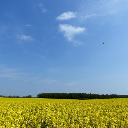 Hof Sorgenlos Gross Gievitz Exteriör bild