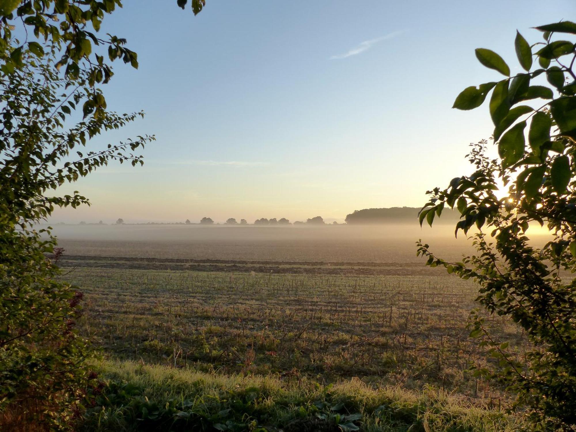 Hof Sorgenlos Gross Gievitz Exteriör bild