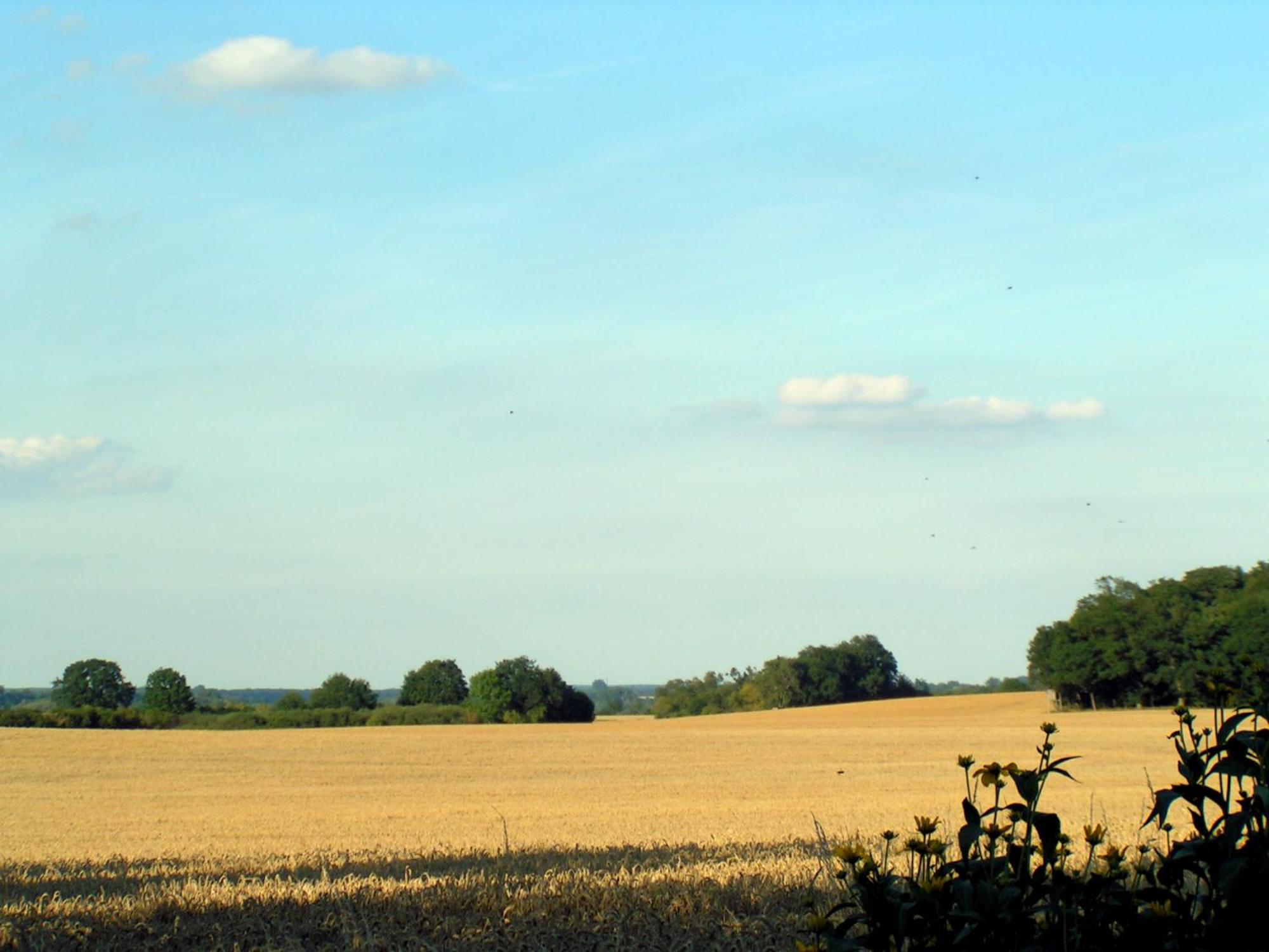 Hof Sorgenlos Gross Gievitz Rum bild