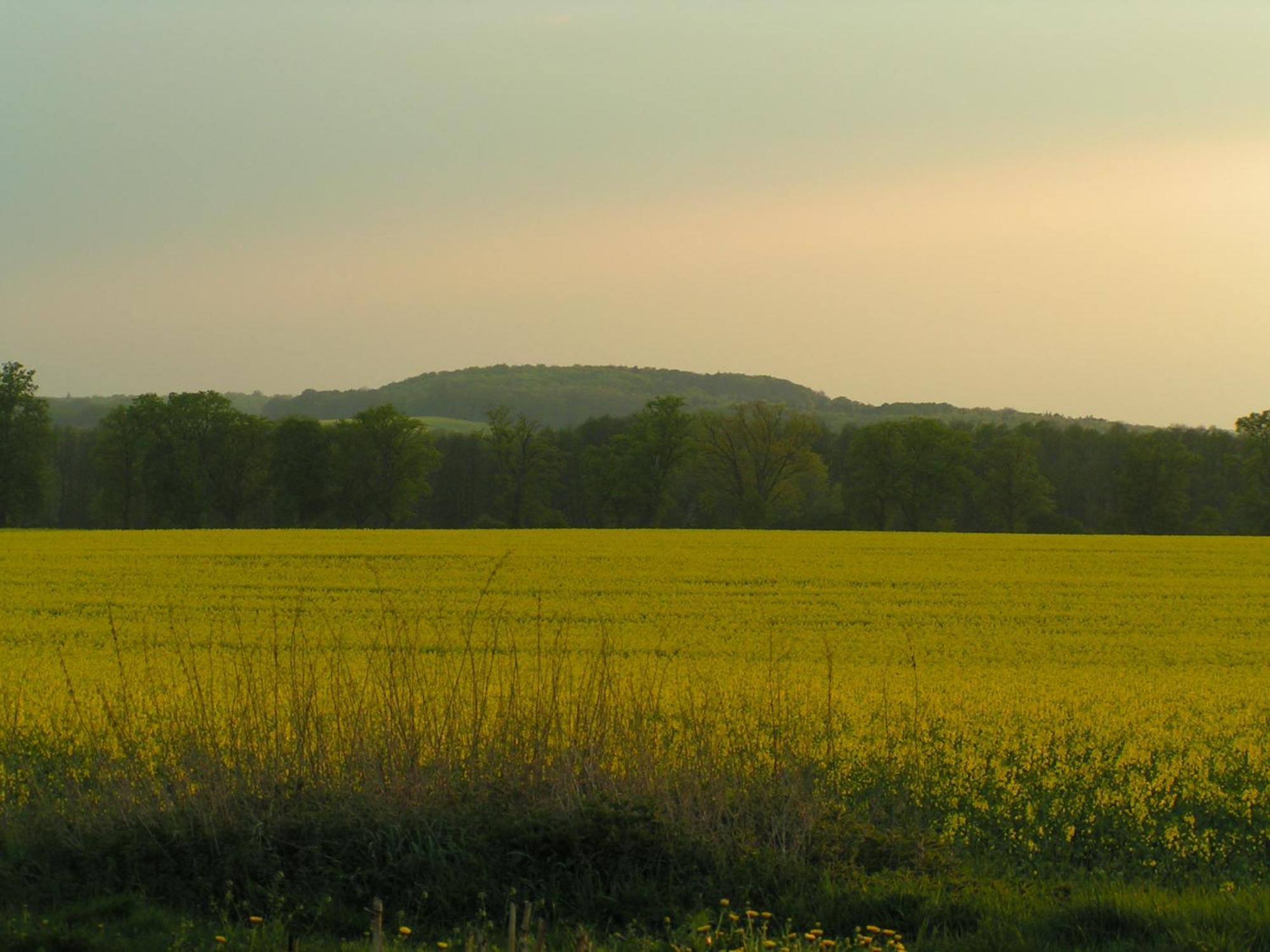 Hof Sorgenlos Gross Gievitz Rum bild