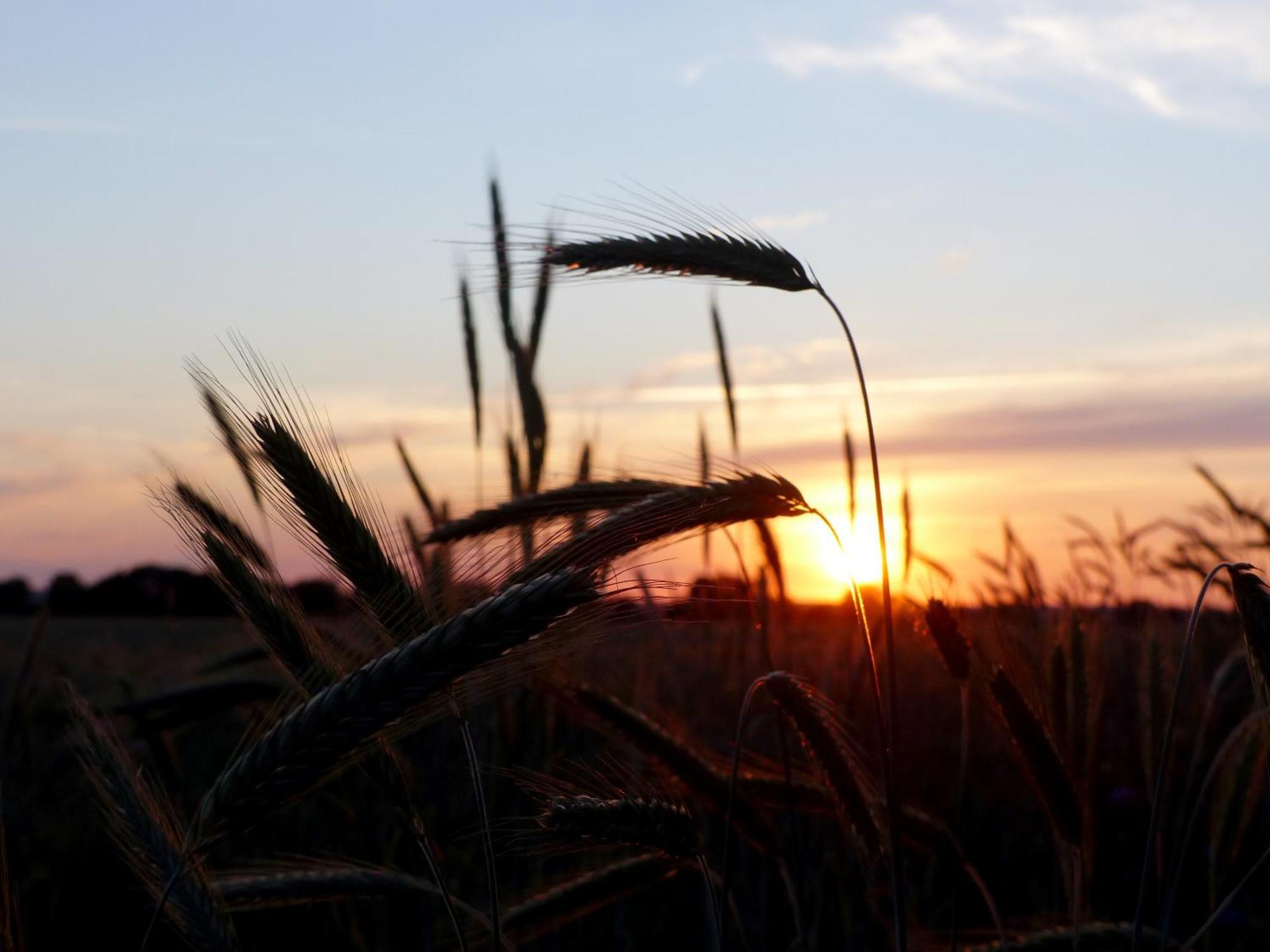 Hof Sorgenlos Gross Gievitz Exteriör bild