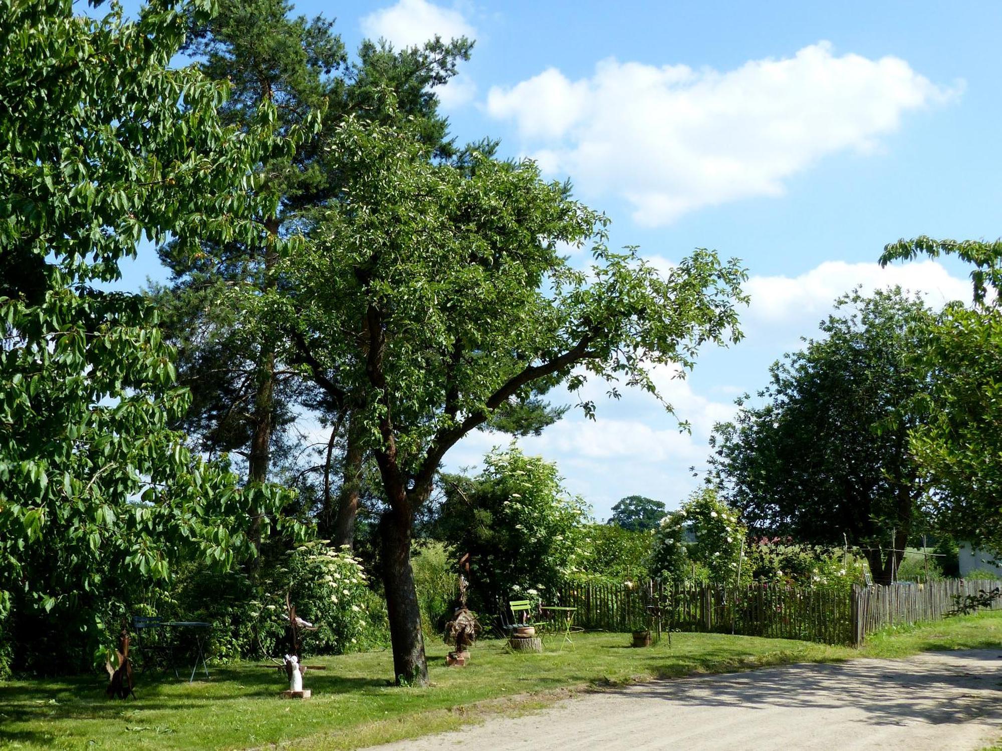 Hof Sorgenlos Gross Gievitz Exteriör bild