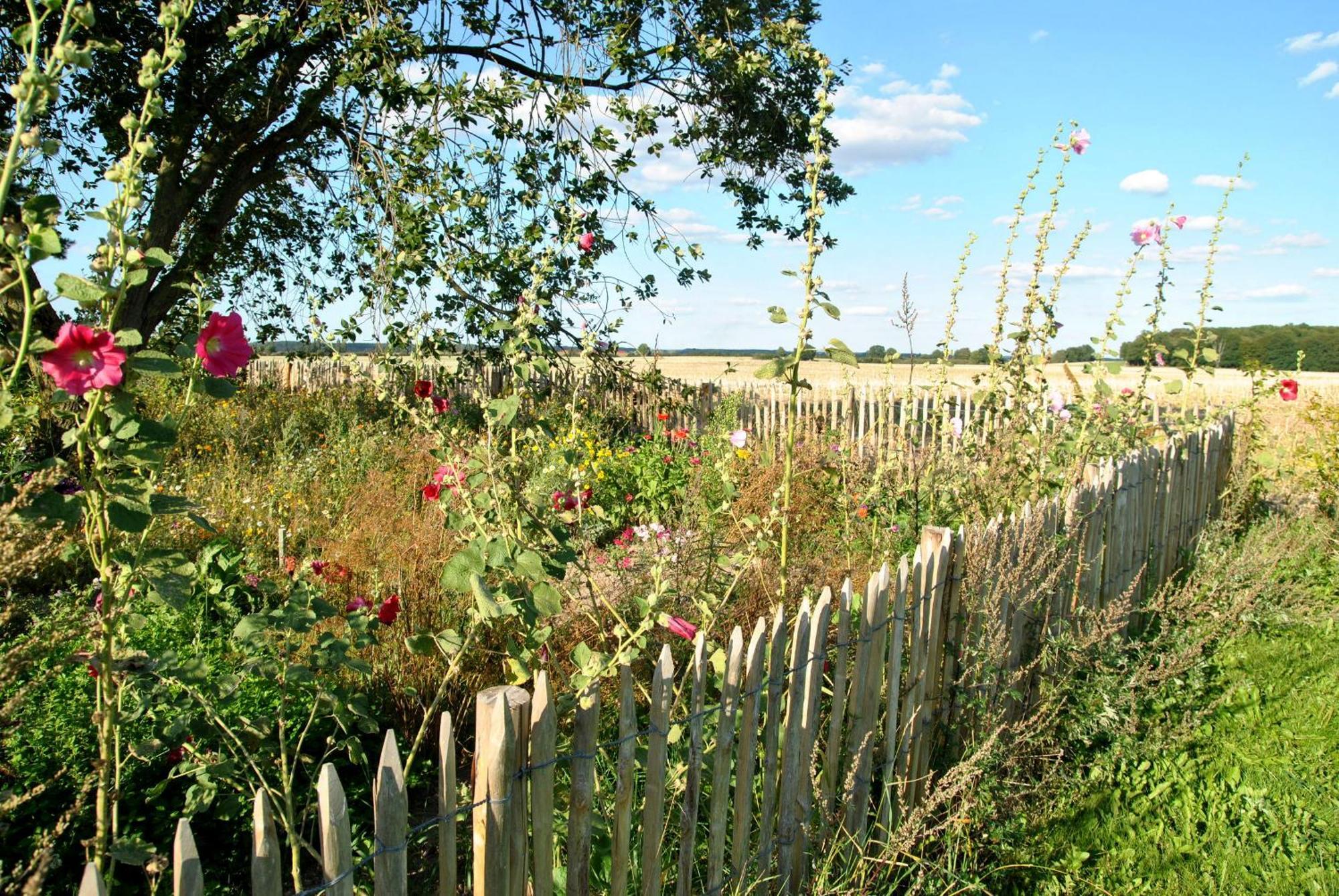 Hof Sorgenlos Gross Gievitz Exteriör bild