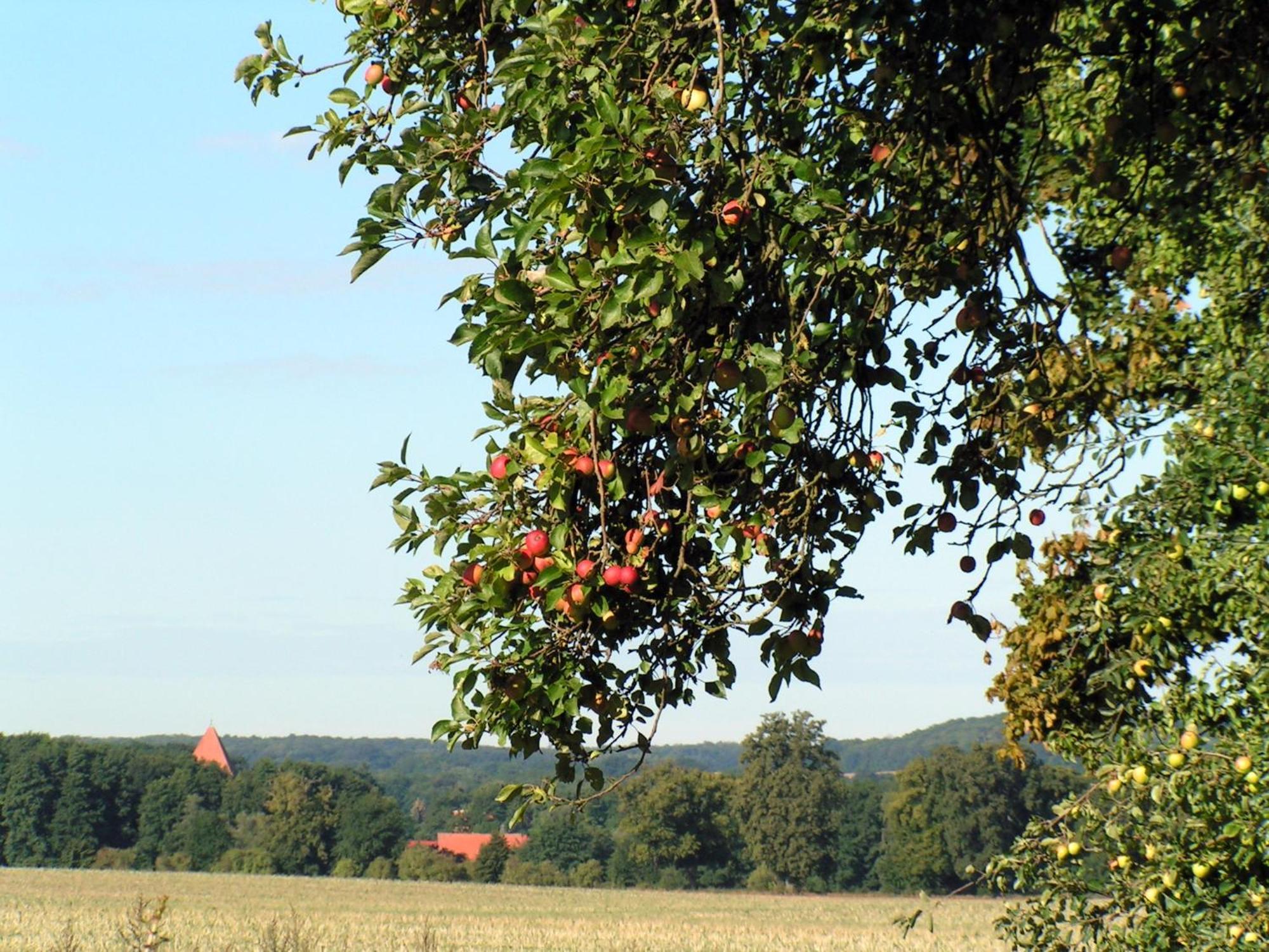 Hof Sorgenlos Gross Gievitz Exteriör bild