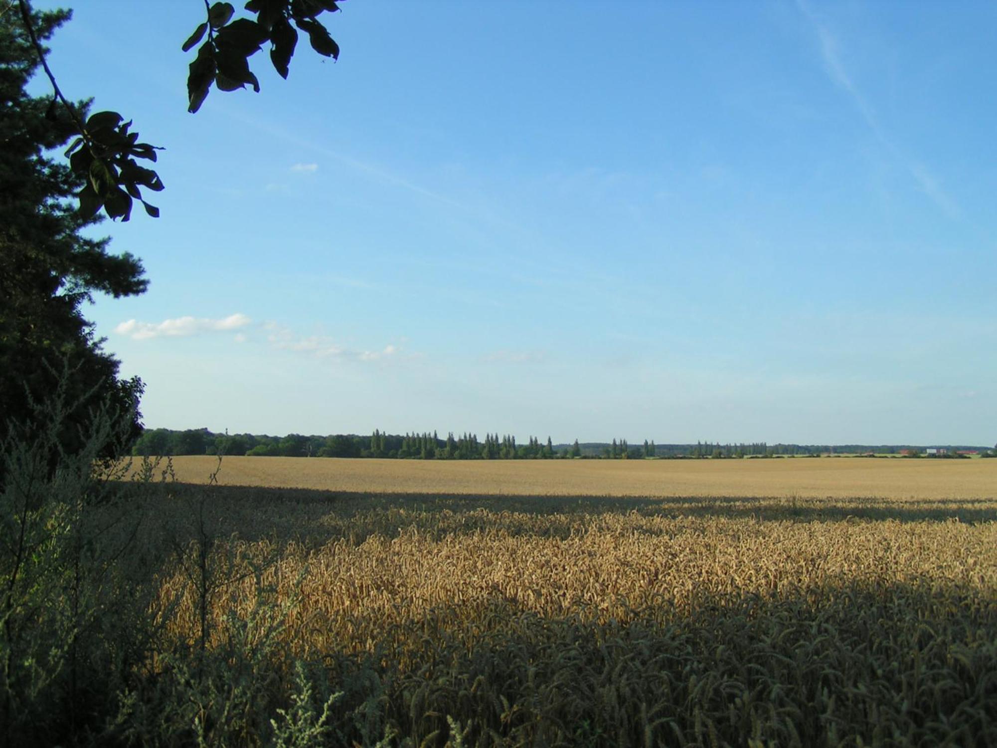 Hof Sorgenlos Gross Gievitz Rum bild