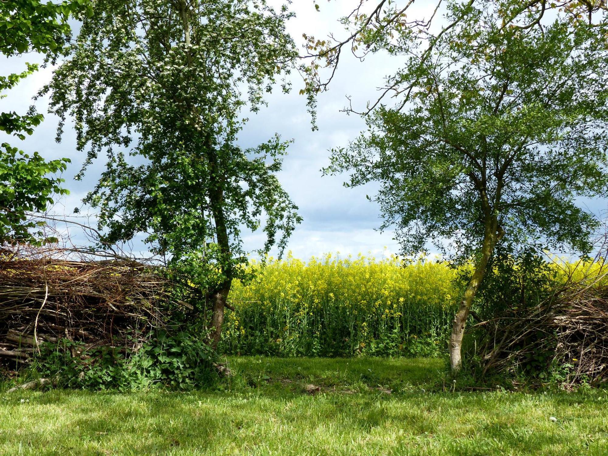 Hof Sorgenlos Gross Gievitz Rum bild